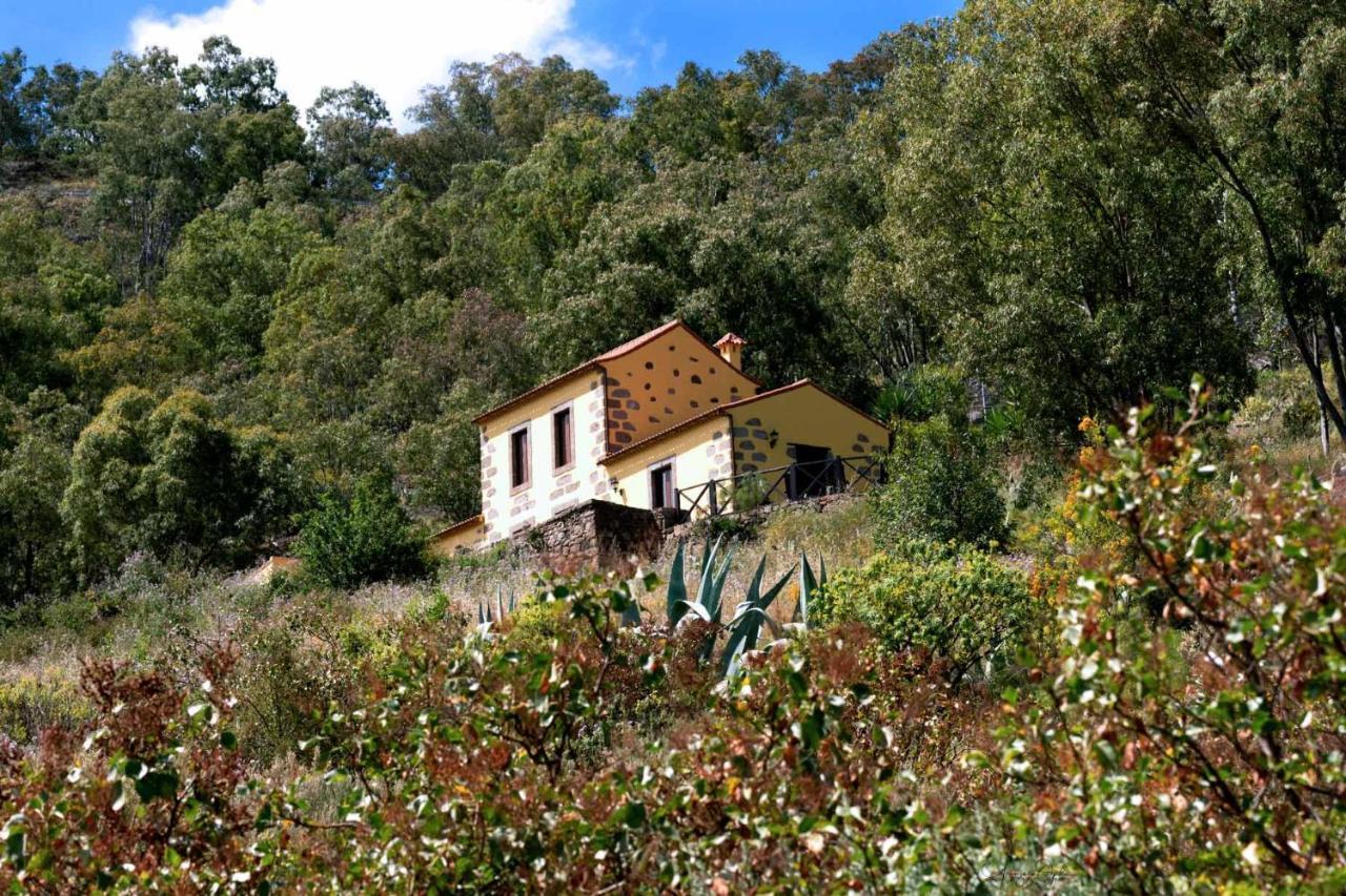 Casa Rural Las Caldereras Teror Exteriér fotografie