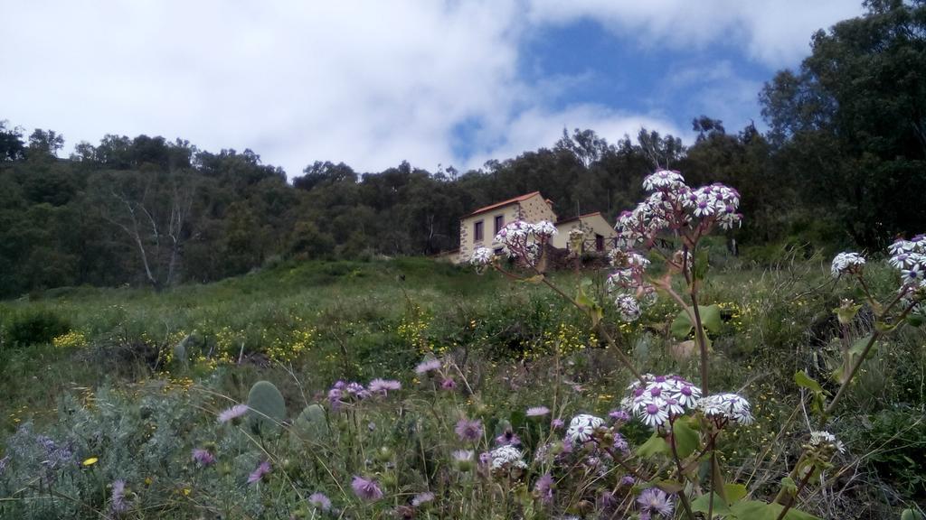 Casa Rural Las Caldereras Teror Exteriér fotografie